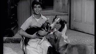 Lassie  Episode 79  quotThe Goatsquot  Season 3 14 1291956 [upl. by Burnett]