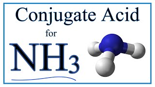 Conjugate Acid of NH3 [upl. by Gillian314]