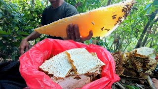 10Kg NA PULOTHONEY🍯 SA ISANG BAHAYAN LANG ANG DAMI NITO MALAKING PERA TO [upl. by Robaina936]