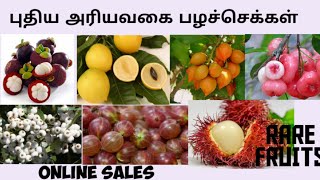 புதிய வரவு அரிய வகை பழச்செடிக்கள்¶ NEW EXOTIC RARE FRUITS PLANTS COLLECTION  Rare fruits online [upl. by Eremahs]