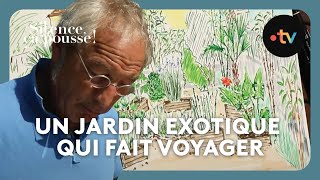 Pas de panique  3 ans après  un jardin exotique luxuriant qui fait voyager  Silence ça pousse [upl. by Ymerrej]