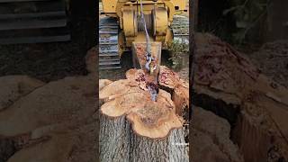 Smash wood with modern machinery​ wood woodwork woodworking [upl. by Enyalb]