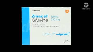 zinacef tablets information [upl. by Nodnarg669]