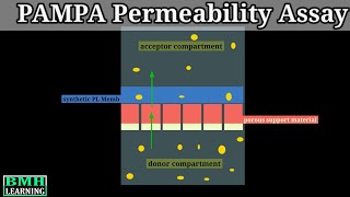 PAMPA Permeability Assay  Permeability Measurement In Caco 2 Cells [upl. by Petrick]