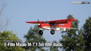 Eflite Maule M7 15m  My most EPIC Maiden Flight [upl. by Cranford]