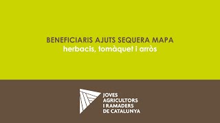 Beneficiaris ajuts sequera MAPA herbacis tomàquet i arròs [upl. by Aiekam]