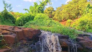 Relaxing Nature Sounds Small Waterfall Sound For Meditation and Studying [upl. by Arbe908]