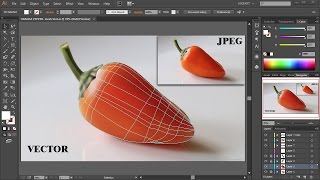 The Mesh Tool  Coloring and Shading  Adobe Illustrator [upl. by Sang767]