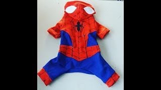 fantasia homem aranha para cachorro 🐶 [upl. by Itnahsa]