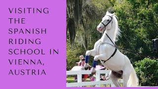 Visiting the Spanish Riding School in Vienna Austria ❤❤🐴🐴 [upl. by Adnouqal833]