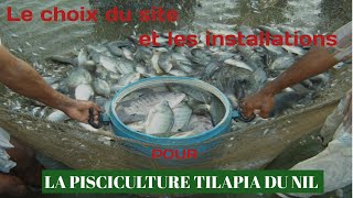 Les étapes pour réussir la pisciculture du tilapia du Nil  Partie 1 [upl. by Eilasor319]