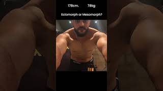 Ectomorph or Mesomorph [upl. by Aninat367]