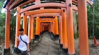 Fushimi Inari Kyoto Sep 2024 [upl. by Ahsatak190]