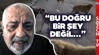 AKPli Tuğrul Türkeşten Sokak Hayvanları Yasasına Çarpıcı Yorum Bana Kızacaklar Ama [upl. by Hoeve487]