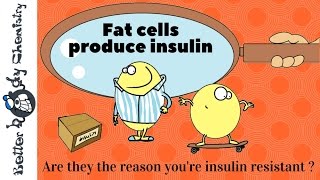 How to lower your insulin level if you’re suffering from hyperinsulinemia [upl. by Nahgiem295]