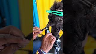 Amazon Machine vs African Dreadlock Machine [upl. by Jermayne642]