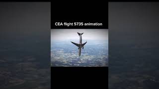 Plane crash animation vs real life part 3 [upl. by Yrtnej]