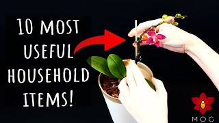 10 MOST USEFUL household items for your Orchids  Orchid Care for Beginners [upl. by Reckford]