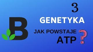 jak powstaje ATP  genetyka  KOREPETYCJE z BIOLOGII  190 [upl. by Noxas]