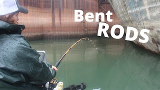 Oregon Sturgeon amp  Fishing Tips [upl. by Aihsenat]