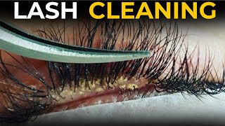 Lash Cleaning Tutorial For Beginner Lash Artists [upl. by Nnaoj]