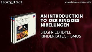 An Introduction to Wagner’s ‘Der Ring des Nibelungen’ [upl. by Jany]