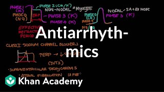 Antiarrhythmics  Circulatory System and Disease  NCLEXRN  Khan Academy [upl. by Hnilym218]