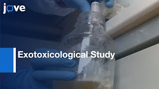 Exotoxicological Method to study Toxicity of Enviromental Contaminants  Protocol Preview [upl. by Analeh547]