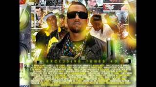 Lil Wayne Ft Pitbull Trazz Bobby Valentino  Mrs Officer [upl. by Gwenny]