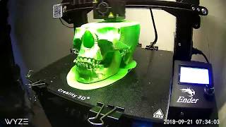 3D Printed Skull using 3D Solutechs Ultra PLA in Green on my Ender 3 Get in the Halloween Spirit [upl. by Alcot]