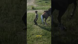 Insane details in red dead redemption 2 shorts videogames rdr2 reddeadredemption eastereggs [upl. by Poll]