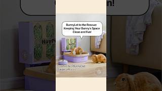 Want to keep your bunny’s space clean Get the BunnyLet today and make your life easier shorts [upl. by Noiraa]