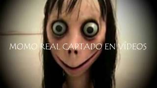 MOMO REAL CAPTADO EN VÍDEOS TOP 5 [upl. by Quartas915]