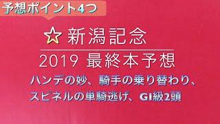 【競馬予想】 新潟記念 2019 本予想 [upl. by Roxanna]