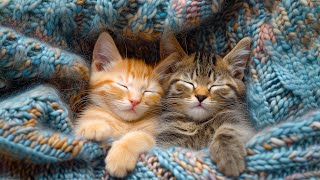 Best Lullaby Music for Cats  12 Hours of Music that Cats Like Cats Love Music  Sleepy Cat💤 [upl. by Cailean]