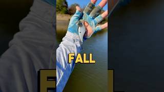 Crankbait Fishing Tips for Catching More Fish in the Fall fishing [upl. by Dnalyk]