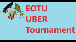 Uber Tournament SEMIFINAL AND FINAL  Empires of the undergrowth [upl. by Aisatsan]