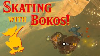 Skateboarding With Bokoblins  The Legend of Zelda Breath of the Wild [upl. by Letnuhs355]