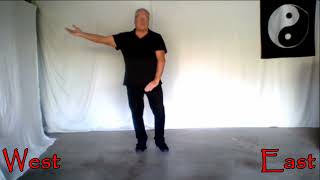 SUN STYLE TAI CHI  BRUSH KNEEREPULSE MONKEYS  demonstrated by Ross Costa MPH [upl. by Hullda]