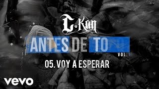 CKan  Voy a Esperar Audio [upl. by Namyac]