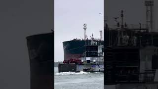 Wonderful 😉 vessel foryou shipengine boat viralvideo vessel tugboat shipping navyship au [upl. by Maidel638]