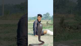 सांप का दर nagin funnyvideo shorts [upl. by Tallie]