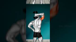 full body workout with dumbbells at home  get muscular body at home  shorts exercise  fitness [upl. by Sirrom730]