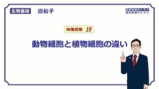 【生物基礎】 遺伝子19 動物細胞と植物細胞 （１４分） [upl. by Aslin]