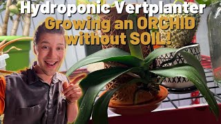 Growing Indoor Plants WITHOUT SOIL using a Vertplanter [upl. by Lleynad]