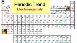 Periodic Trends in Electronegativity [upl. by Edvard]