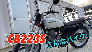 【CB223S沖縄】見るたびに好きになる [upl. by Stannfield]