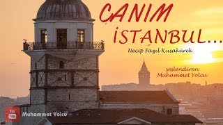 Canım İstanbul Şiiri  Necip Fazıl Kısakürek 🎼🎙 [upl. by Nereus]