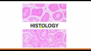 cytology 1  cell membrane and transport across cell membrane [upl. by Nipahc]