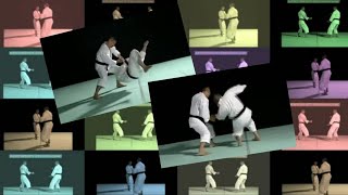 shorinji kempo  best embu performance  少林寺拳法 [upl. by Aysa]